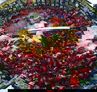 Red Chilli Sichuan Burwood - Go Out