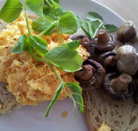 Long Story Short - Pubs and Clubs