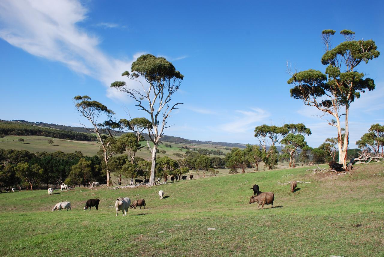 Lisieux Farm Bed and Breakfast Back Valley