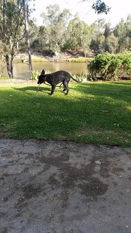 Captain's Cottage Bed  Breakfast Moama