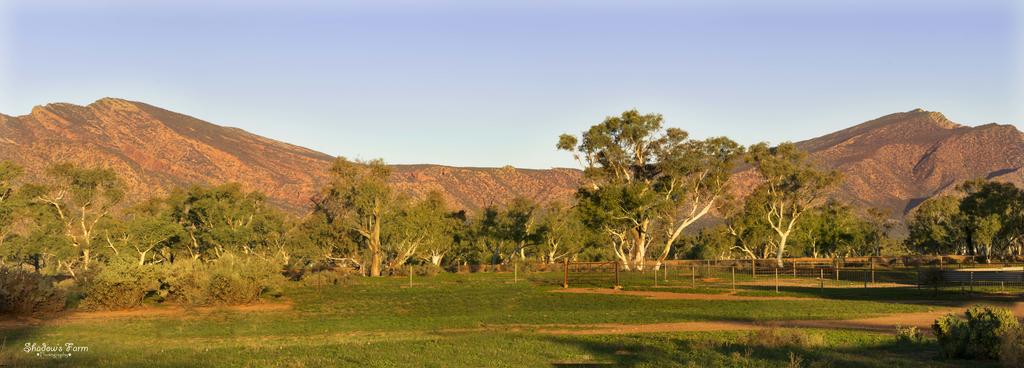 Edeowie Station Flinders Ranges