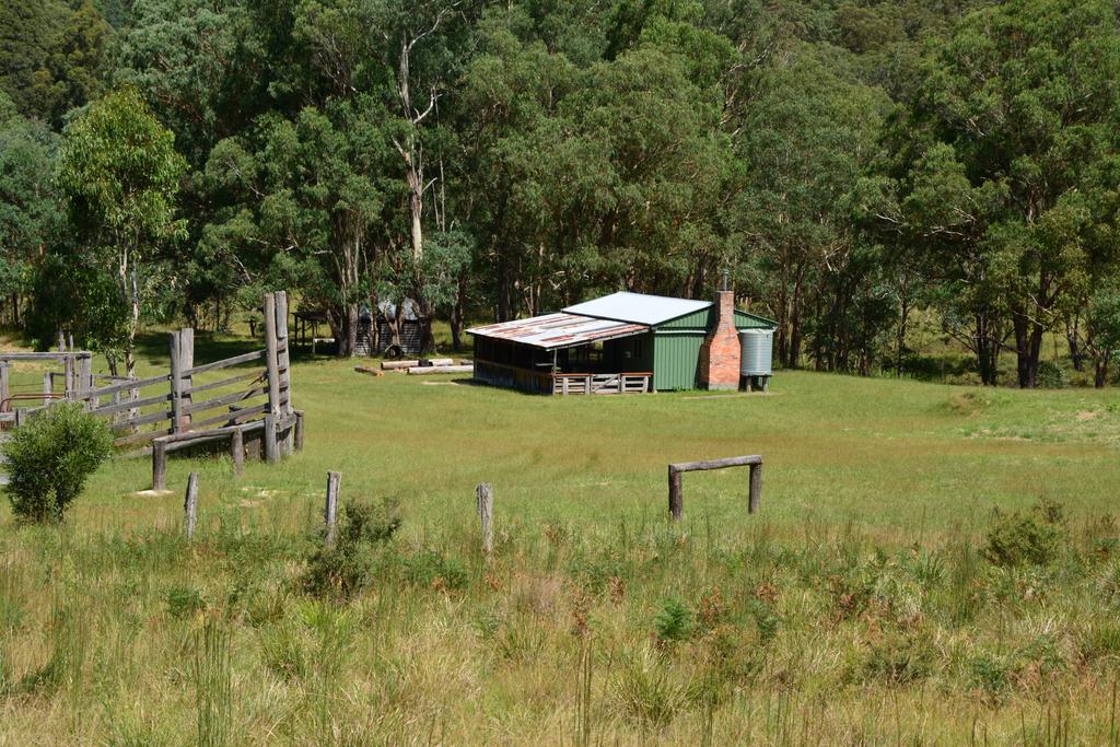 Four Bull Hut Forest Land