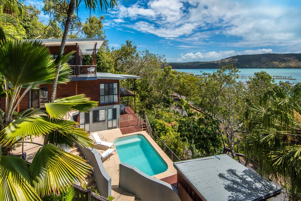 Kingfisher on Hamilton Island Whitsundays