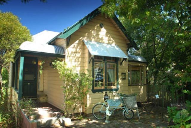 Leura Lady Leura