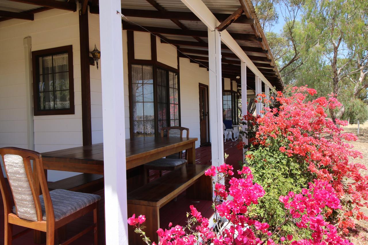 Daisy Cottage Buckland