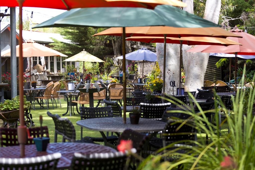 Oakdene Vineyards Guesthouse Wallington