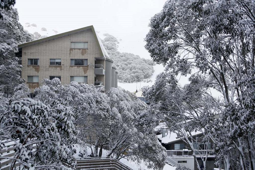 Alpine View Apartments Falls Creek