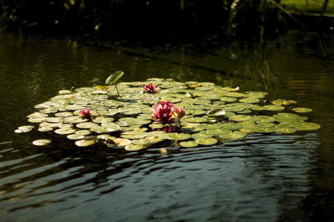 University House - ANU - Go Out 17