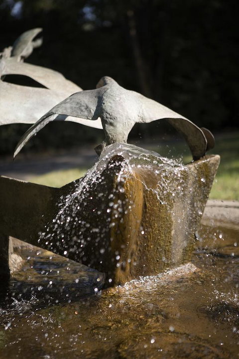 University House - ANU - Go Out 30