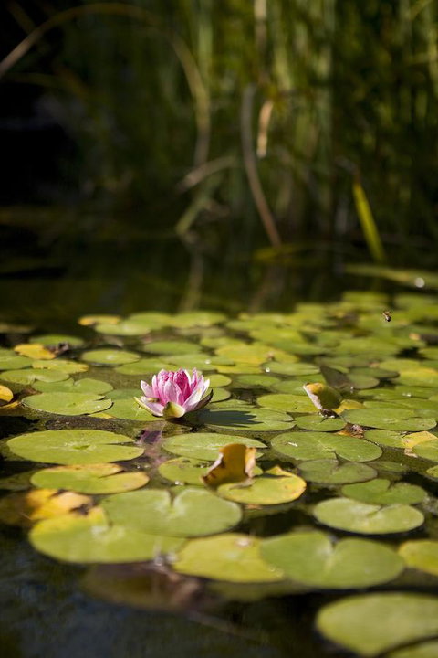 University House - ANU - Go Out 35