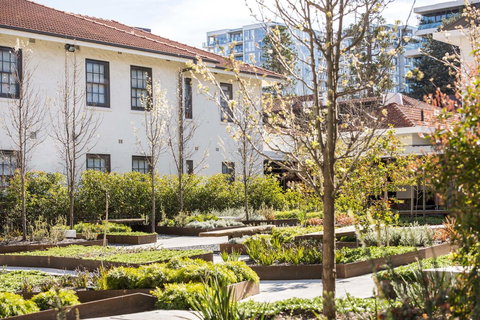 Peppers Gallery Hotel - Pubs and Clubs 1