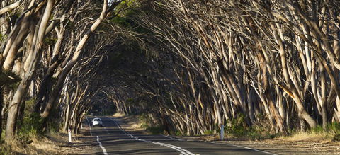 Mercure Kangaroo Island Lodge - Pubs and Clubs 40