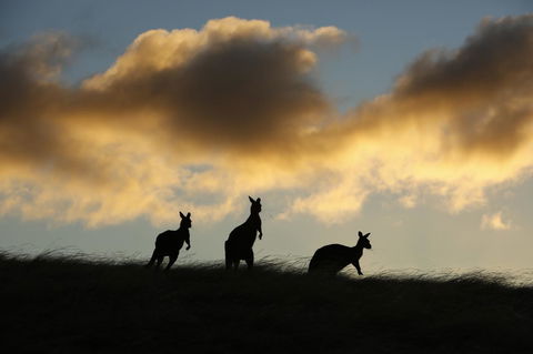 Sky House Kangaroo Island - Pubs and Clubs 37