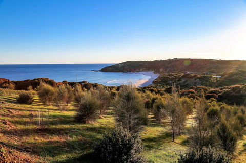 Sky House Kangaroo Island - Pubs and Clubs 13