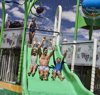 Discovery Parks  Barossa Valley - Pubs and Clubs
