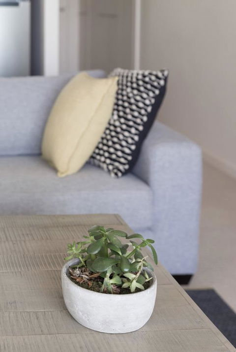 Port Adelaide Executive Waterfront Apartment - Pubs and Clubs 18