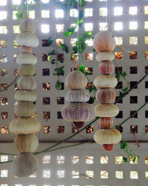 Driftwood On Dover - Pubs and Clubs 11