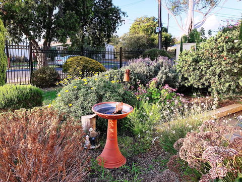 Beautiful Garden House - Pubs and Clubs 21