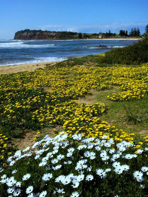 Serenity On Narrabeen Beach - 1Bdr Beachside Retreat - Go Out 10