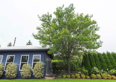 S T U D I O 22 Peaceful Retreat With Garden Views - Pubs and Clubs 11