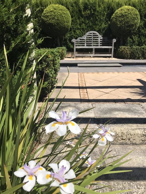 S T U D I O 22 Peaceful Retreat With Garden Views - Pubs and Clubs 13