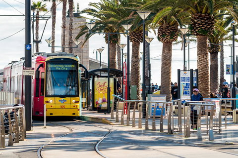 Luxury Beachside Accomodation - Pubs and Clubs 24