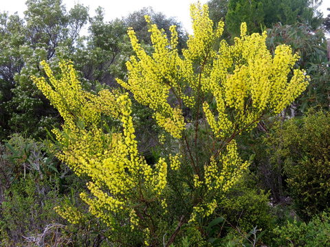 Kestrel Downs - Go Out 26