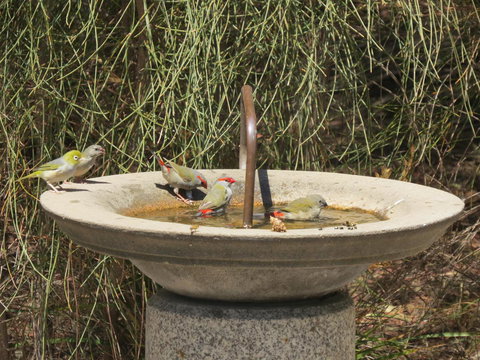 Kestrel Downs - Go Out 24