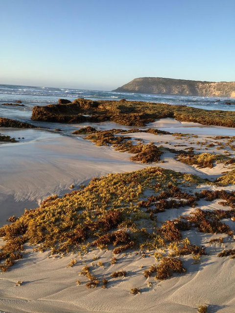 Kestrel Downs - Go Out 34