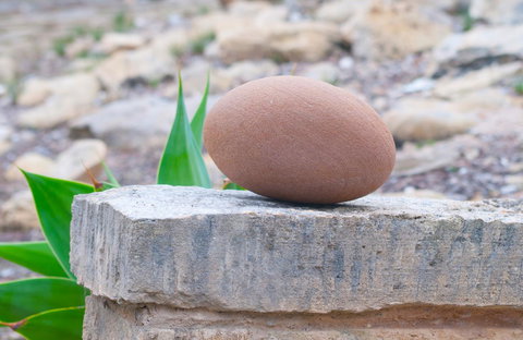 Kestrel Downs - Go Out 30