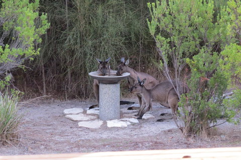 Kestrel Downs - Go Out 23