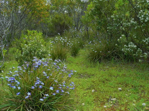 Kestrel Downs - Go Out 32