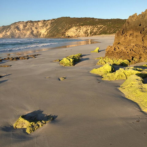 Kestrel Downs - Go Out 36