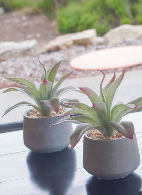 Kestrel Downs - Go Out 13