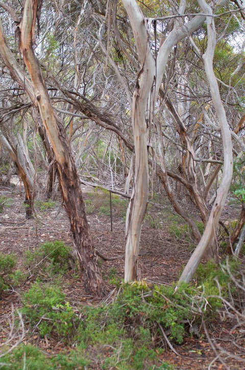 Kestrel Downs - Go Out 19