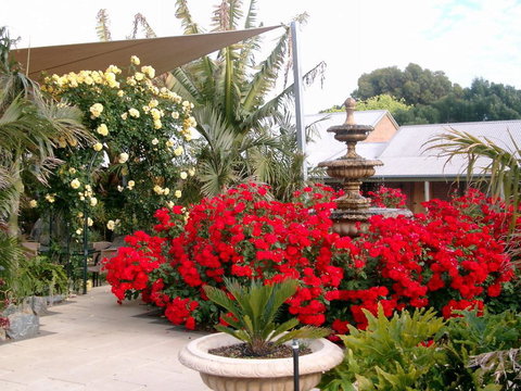 McLaren Vale Motel & Apartments - Go Out 35