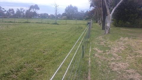 Gaerwood B&B - Pubs and Clubs 17