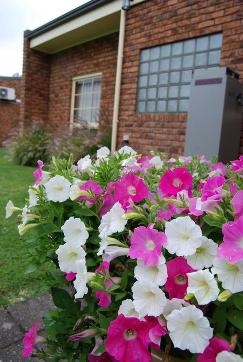 Arkana Motor Inn & Terrace Apartments - Pubs and Clubs 40