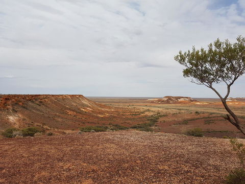 Underground Gem - Pubs and Clubs 30