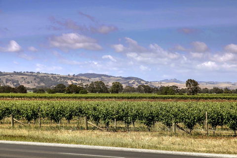 Barossa Retro BnB - Pubs and Clubs 2