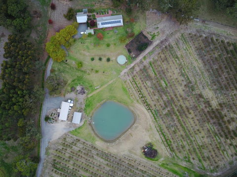 STUDIO ECHUNGA Adelaide Hills - Go Out 22