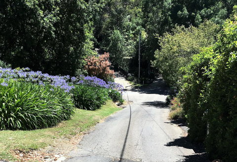 Hilltop - Pubs and Clubs 2