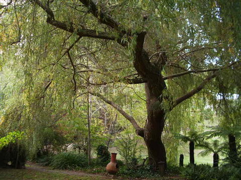 Hilltop - Pubs and Clubs 14