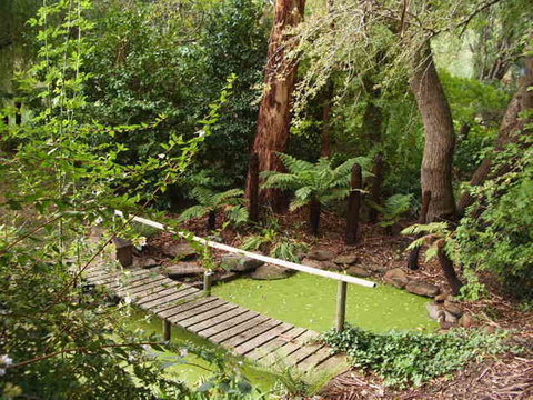 Hilltop - Pubs and Clubs 10