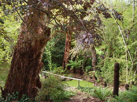 Hilltop - Pubs and Clubs 13