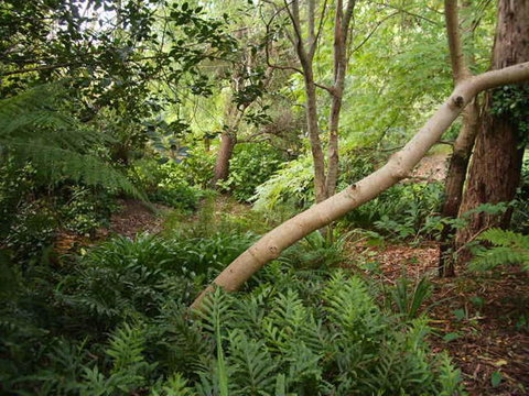 Hilltop - Pubs and Clubs 17