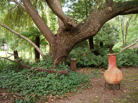 Hilltop - Pubs and Clubs 18