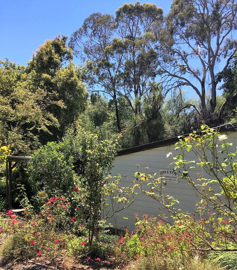 Hilltop - Pubs and Clubs 9