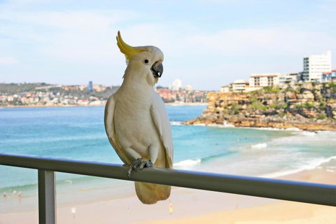 Beachfront Bliss - Go Out 23