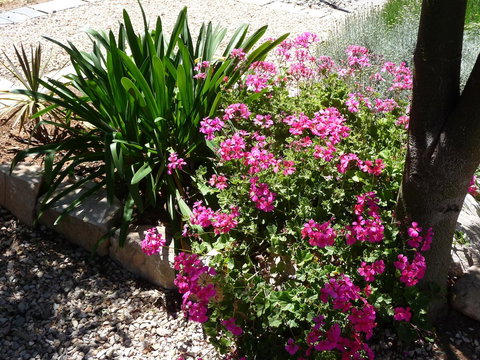 Country Bakehouse Accommodation - Pubs and Clubs 18